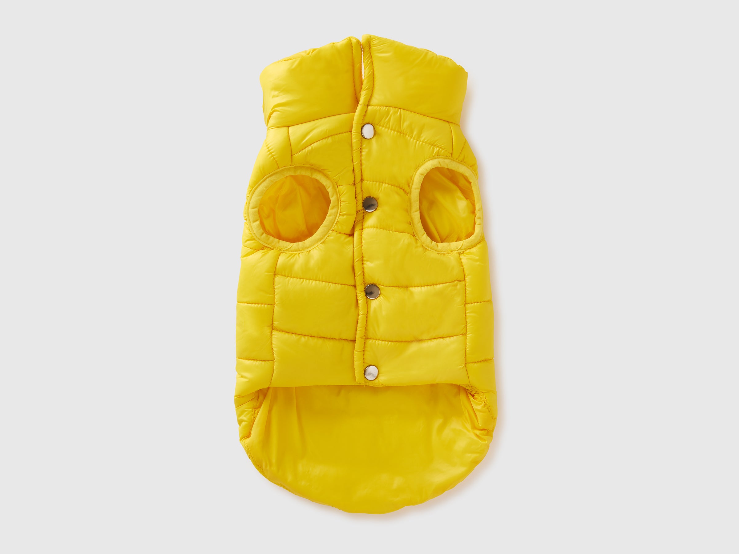 Casaco acolchoado amarelo para cães - ucb_image_BS