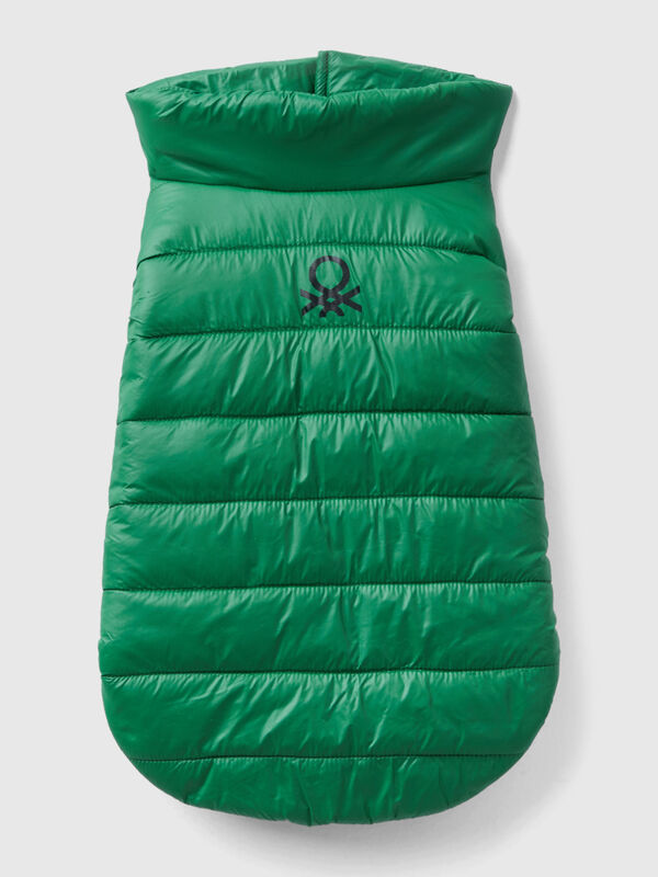 Green padded jacket for dogs