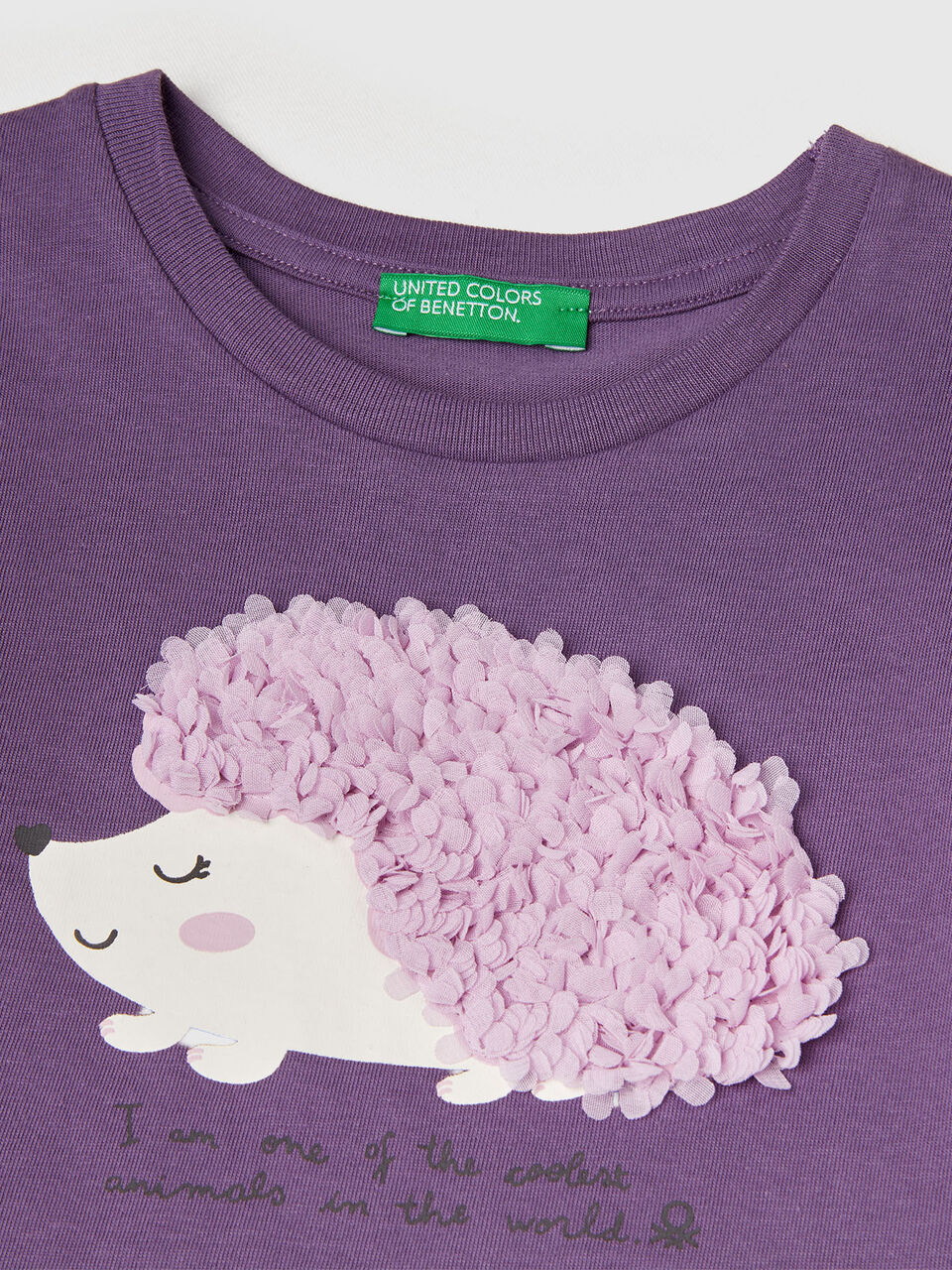 T-SHIRT L/S Junior Girl image number null