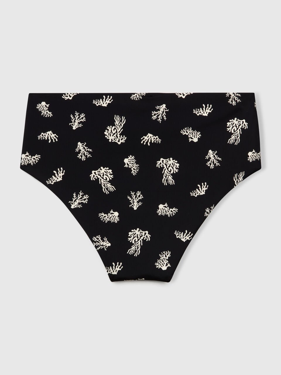 SWIMMING BRIEFS Women image number 2