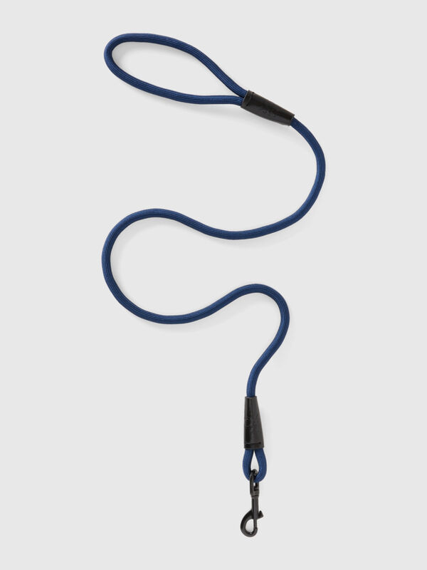 Cornflower blue leash for dogs