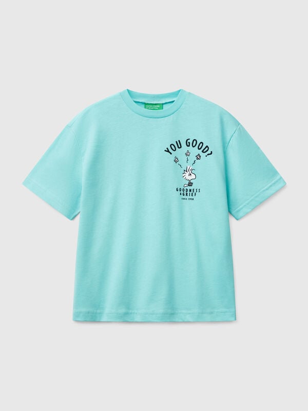 Short sleeve Snoopy ©Peanuts t-shirt Junior Boy